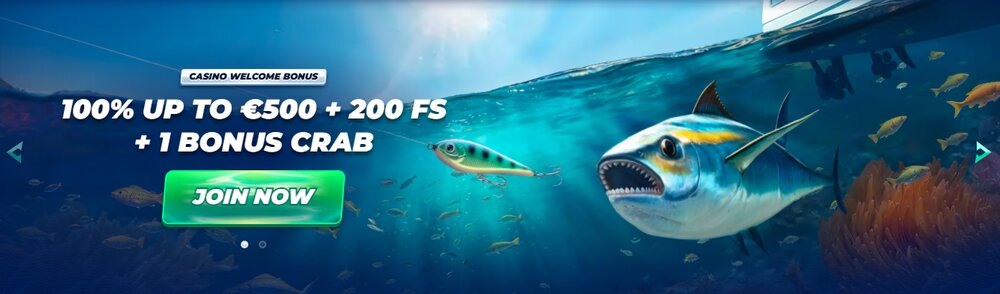 BassBet casino HP LI
